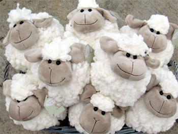 Cuddly Soft Toys